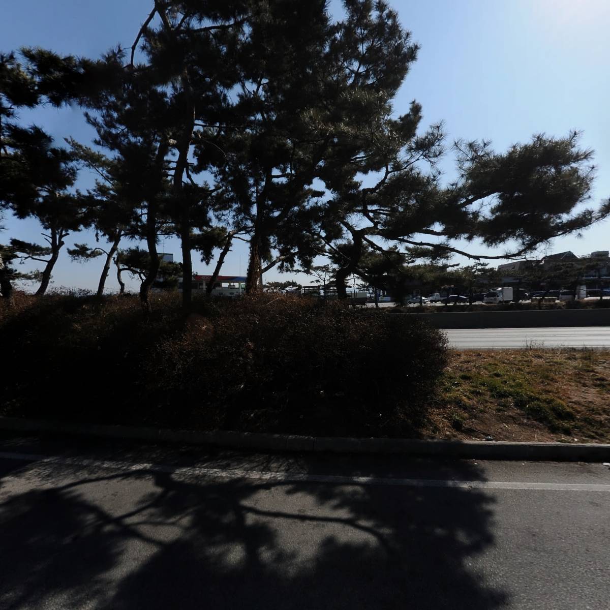 주）바이오시스 오창（통영방향）주유소_3