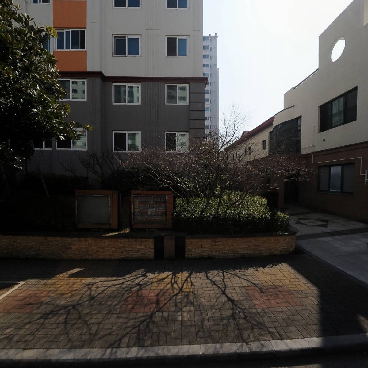 물메초등학교 제5회동창회