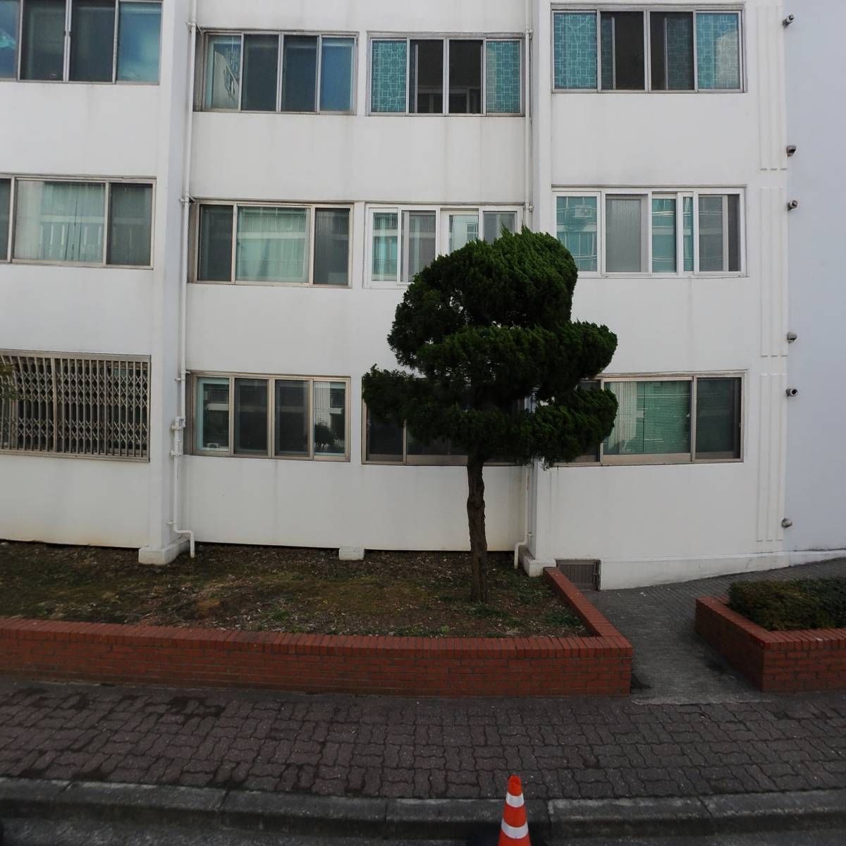 딱따구리레크리에이션_3
