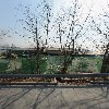 （주）썬씨푸드