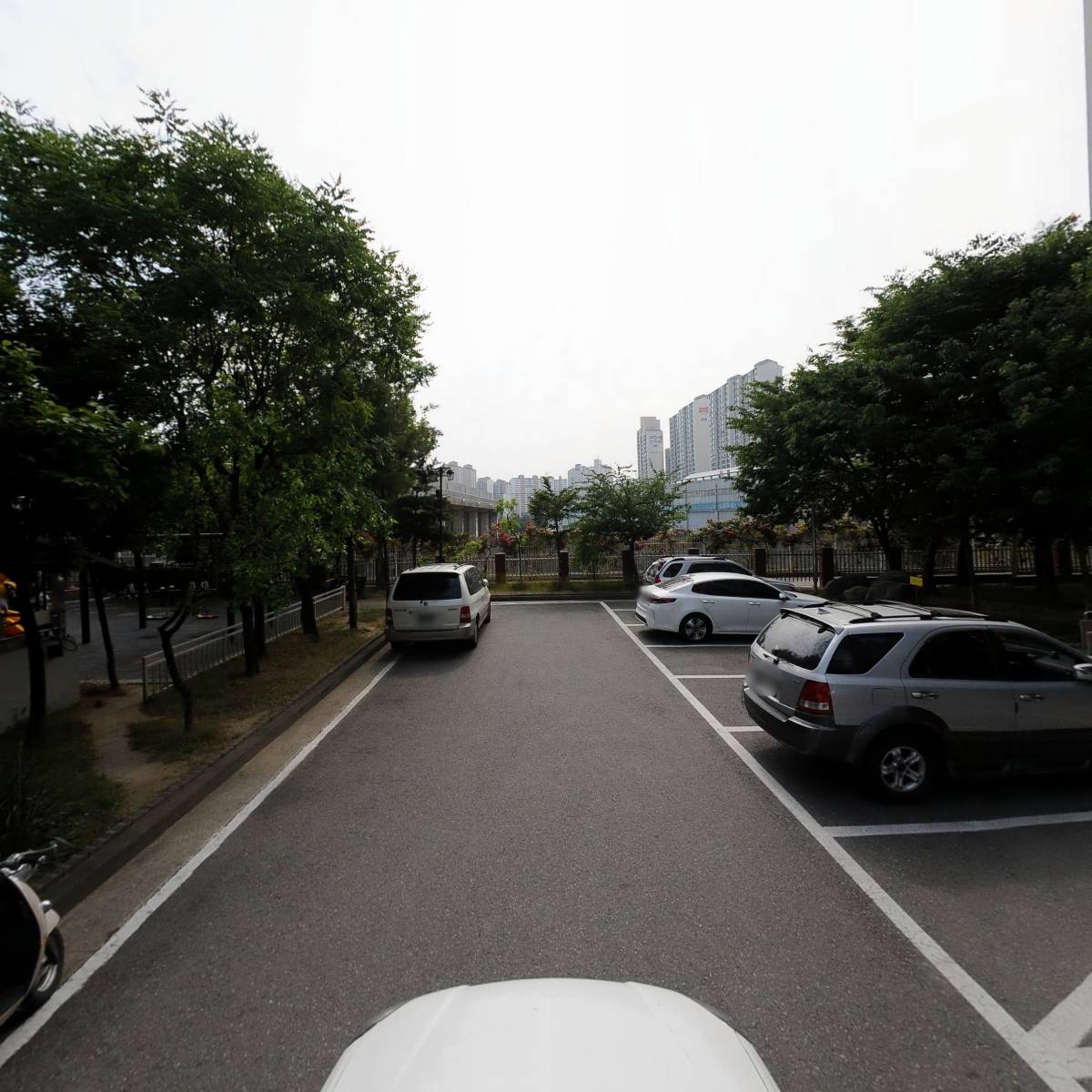 포프리_4