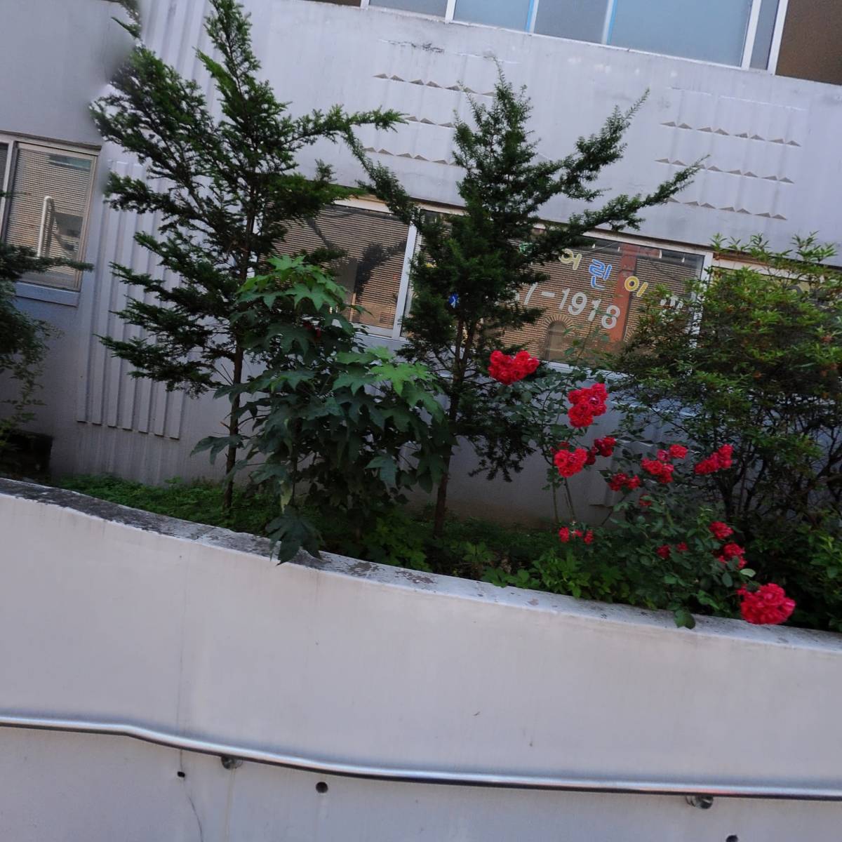 대각불교 조계종_3