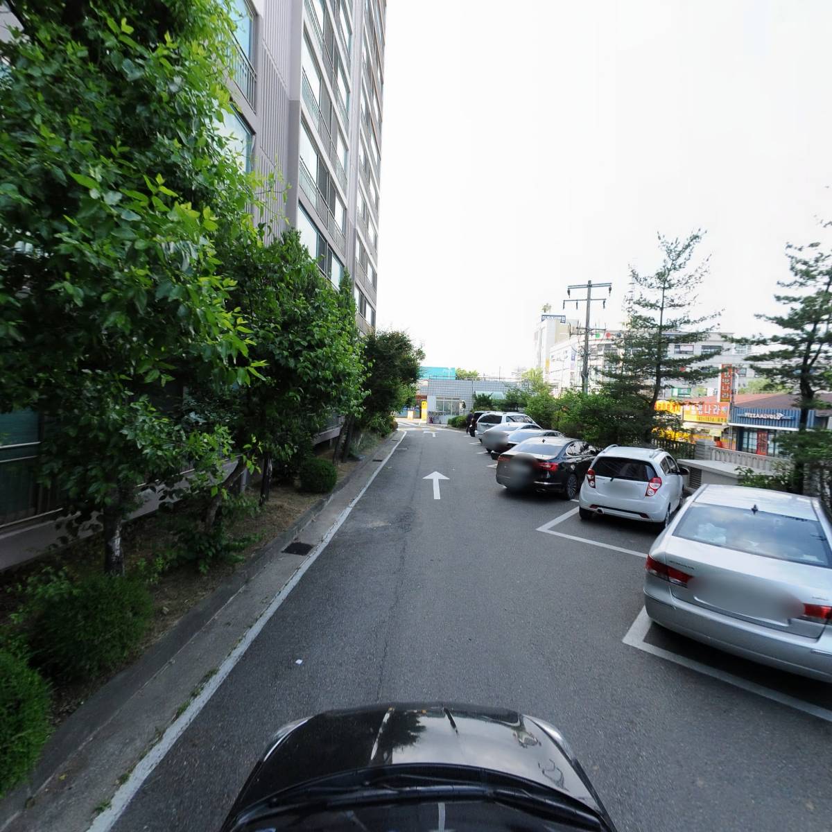 선우코리아_4