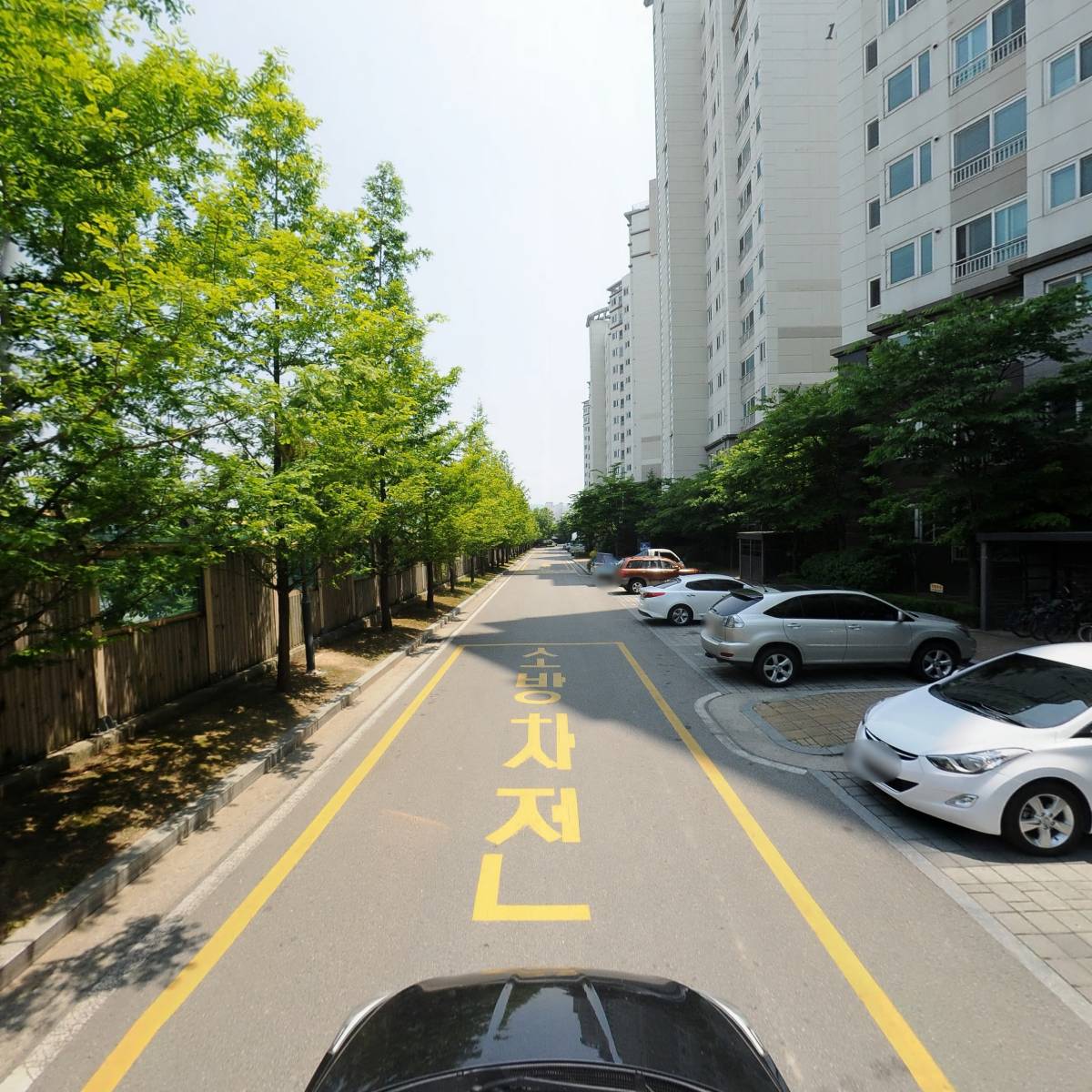 꽃마냥_4