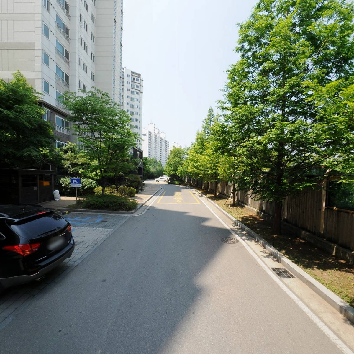 꽃마냥_2