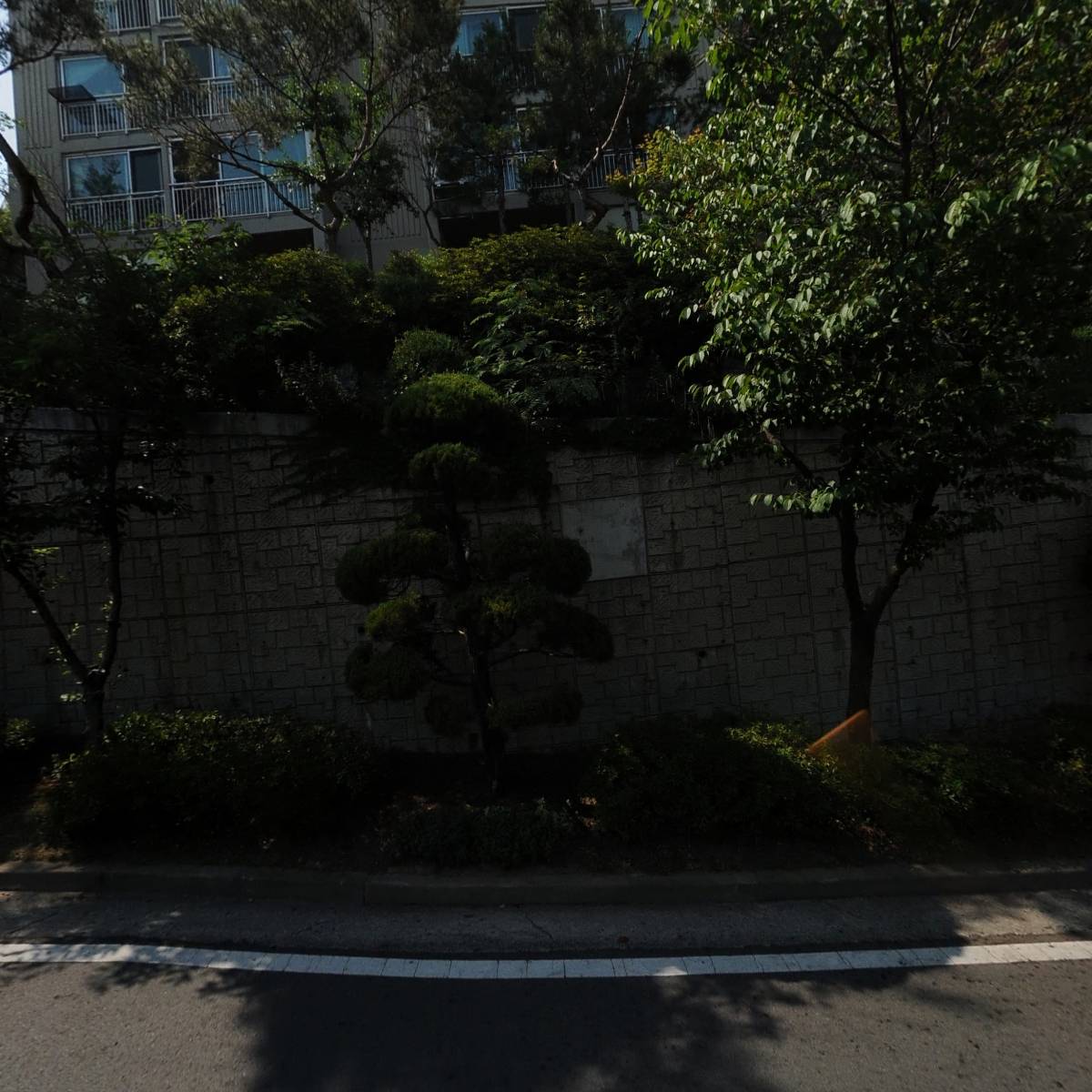 봄 사진관_3