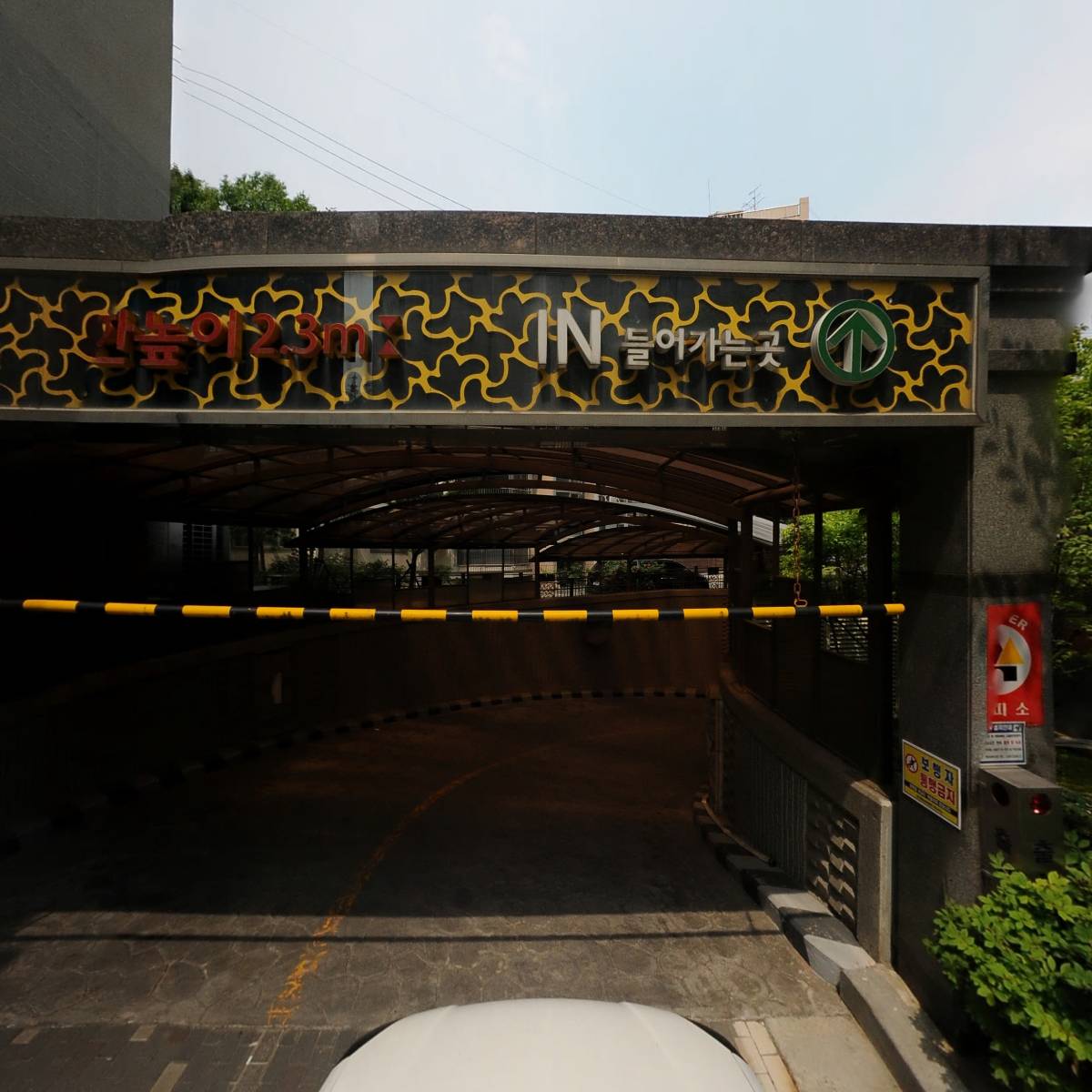 뉴셀프로(newcellpro)_4