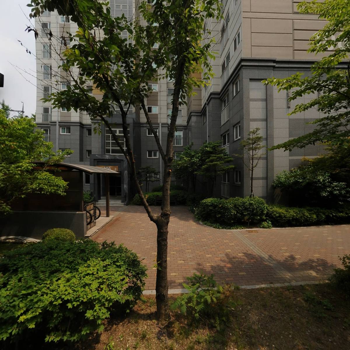 뉴셀프로(newcellpro)