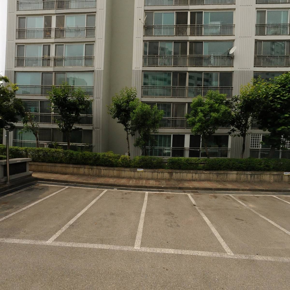 모모레인(MOMORAIN)