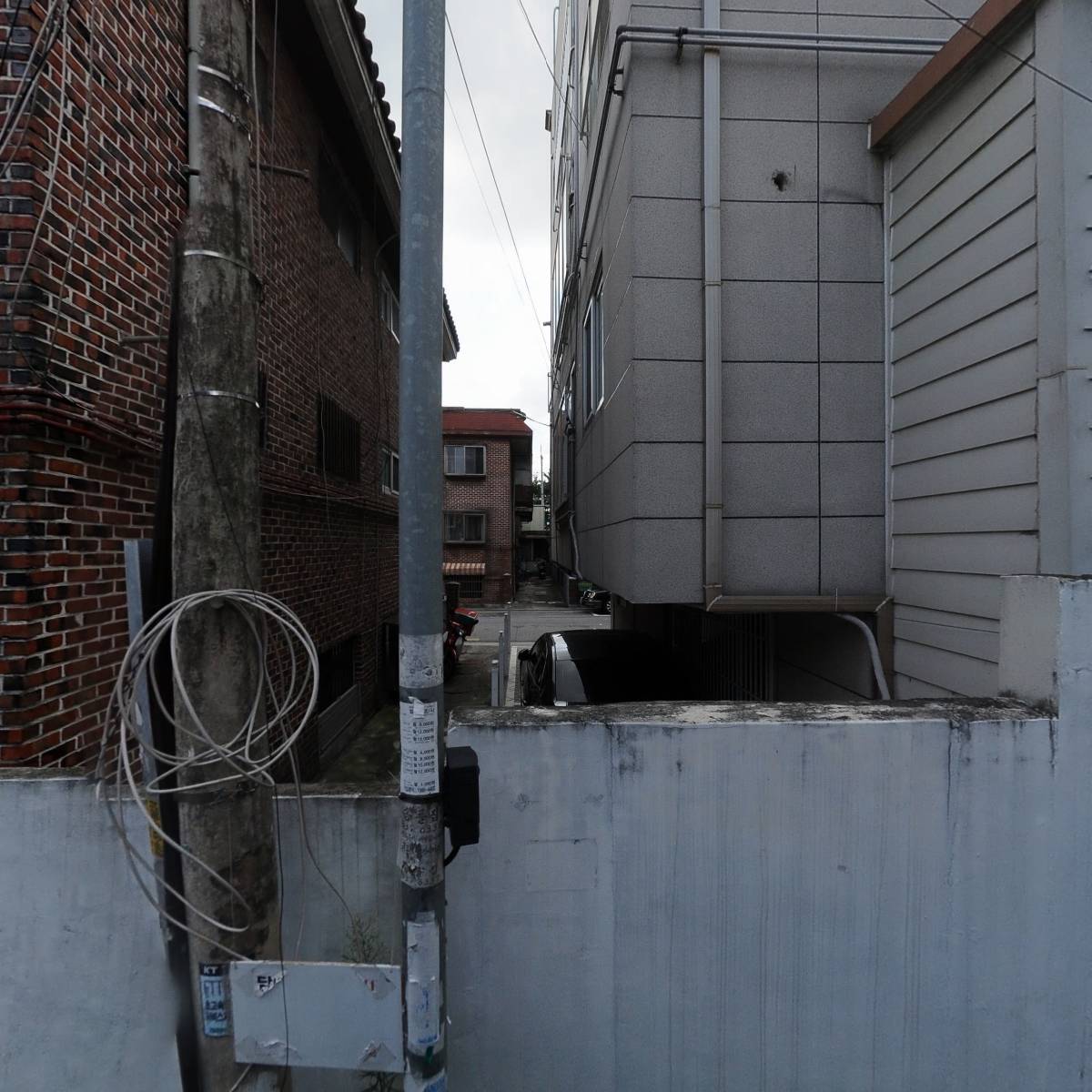 권성자_3