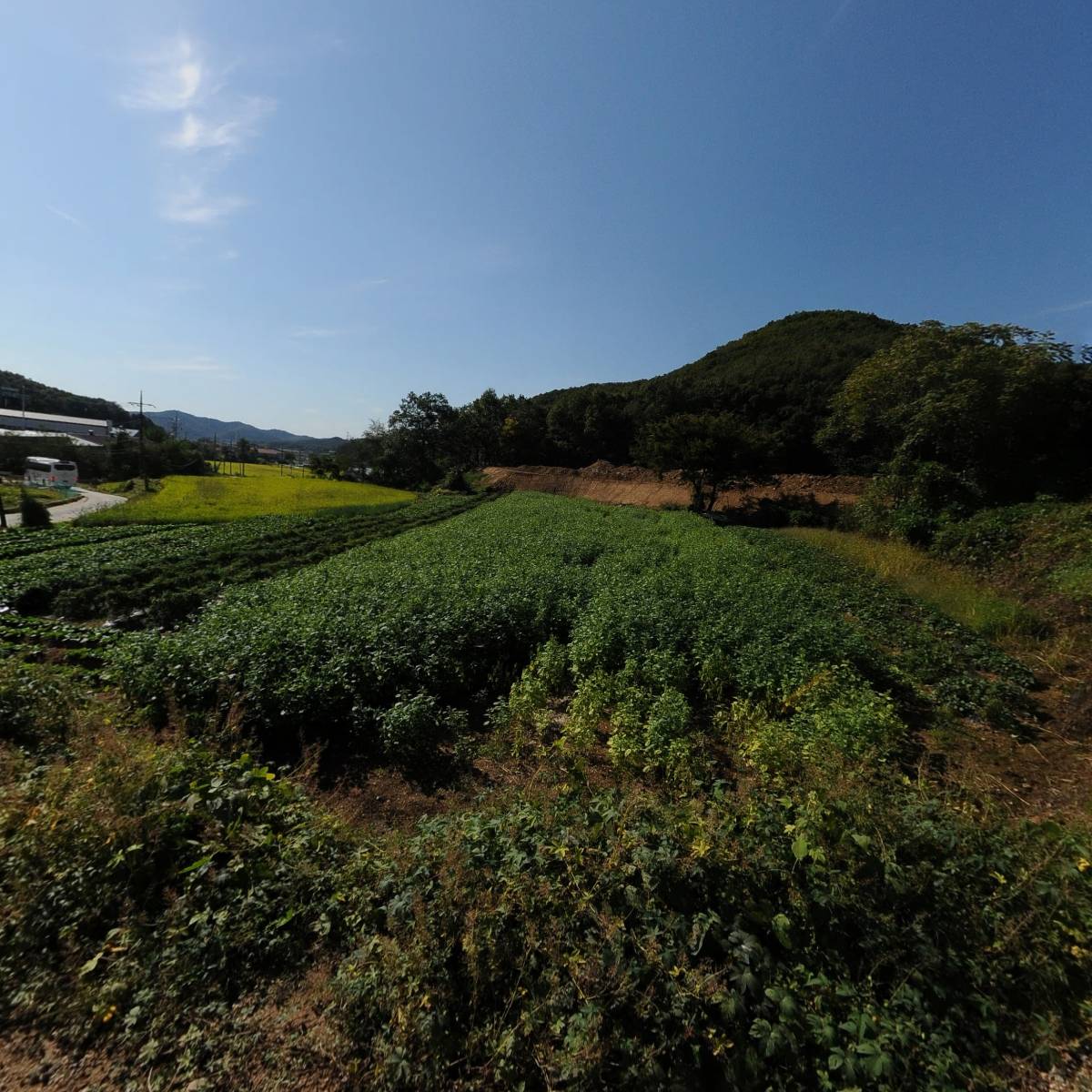 슈베르첸하우스_3