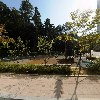 에이스다육