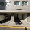 에이스다육_3