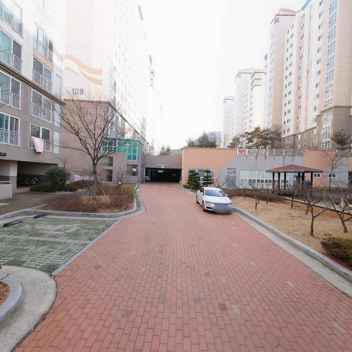 제인_2
