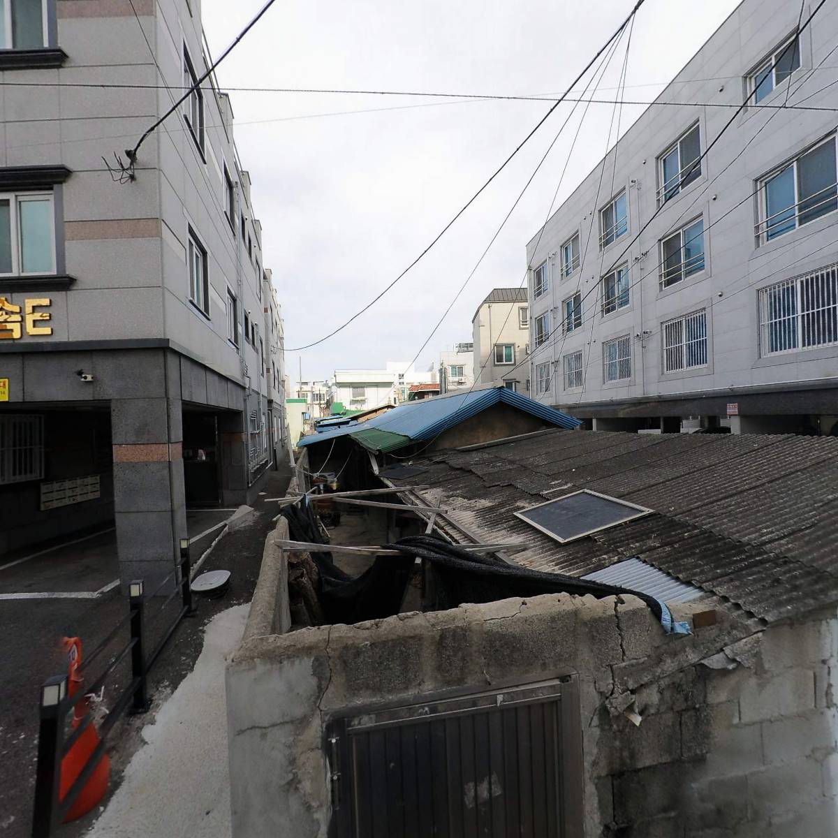 진화운수