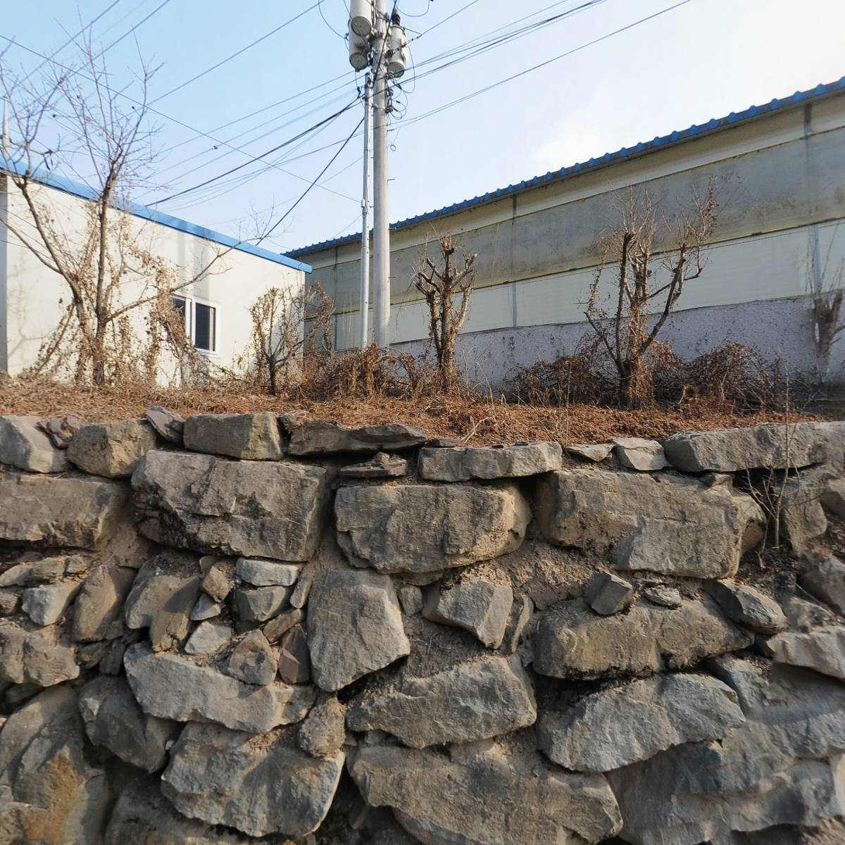 의령 왕메추리 영농조합법인