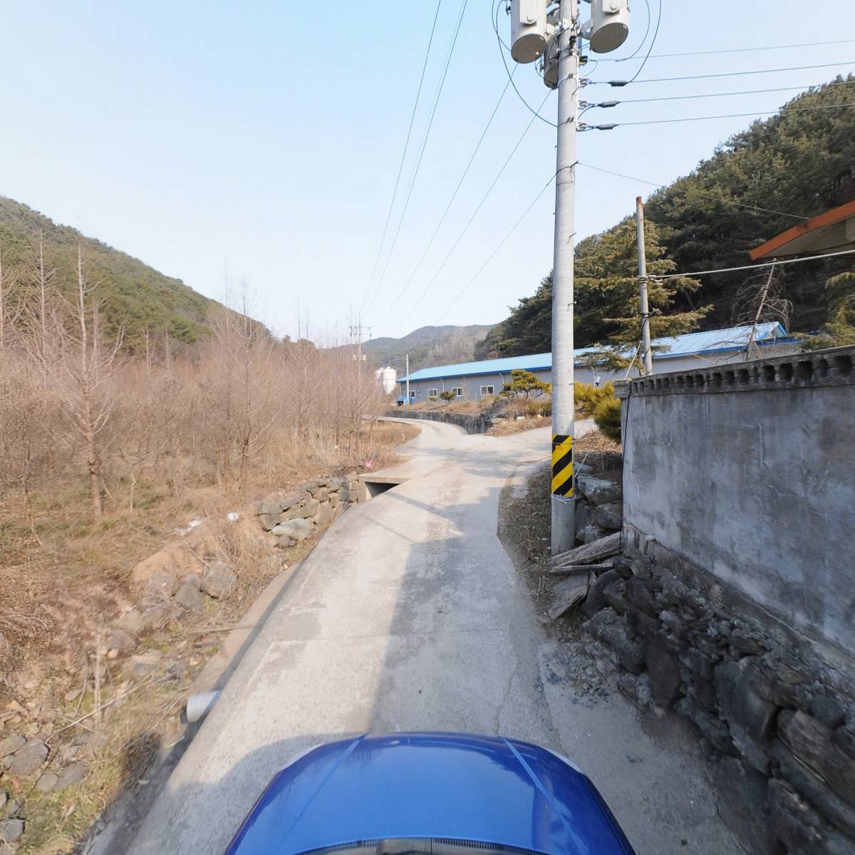 의령메추리농장_4