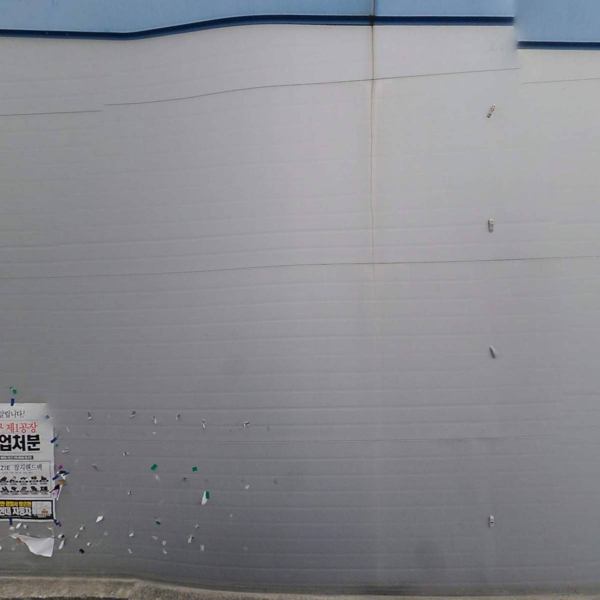 수영 손세차장_3