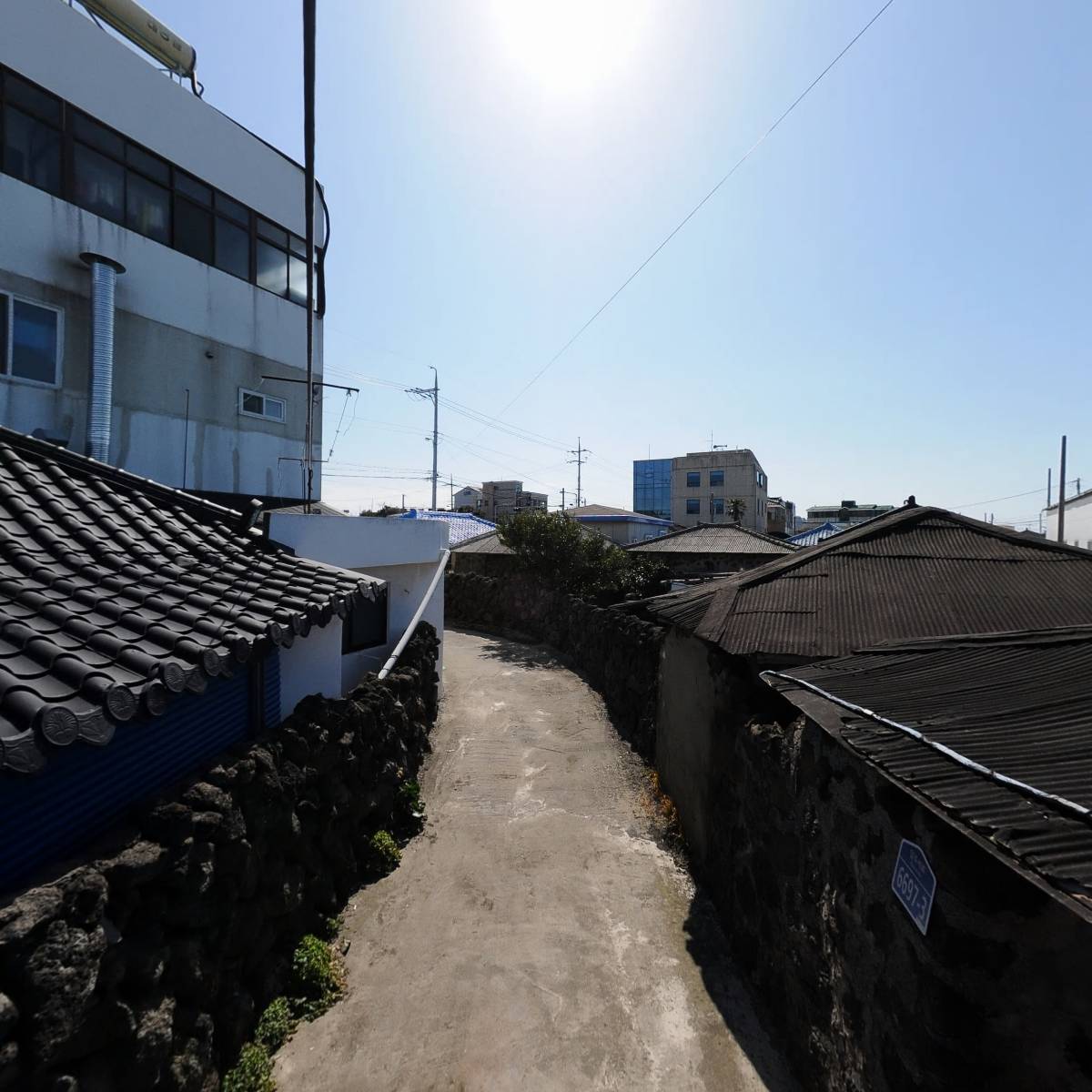 직팜(주피)_2