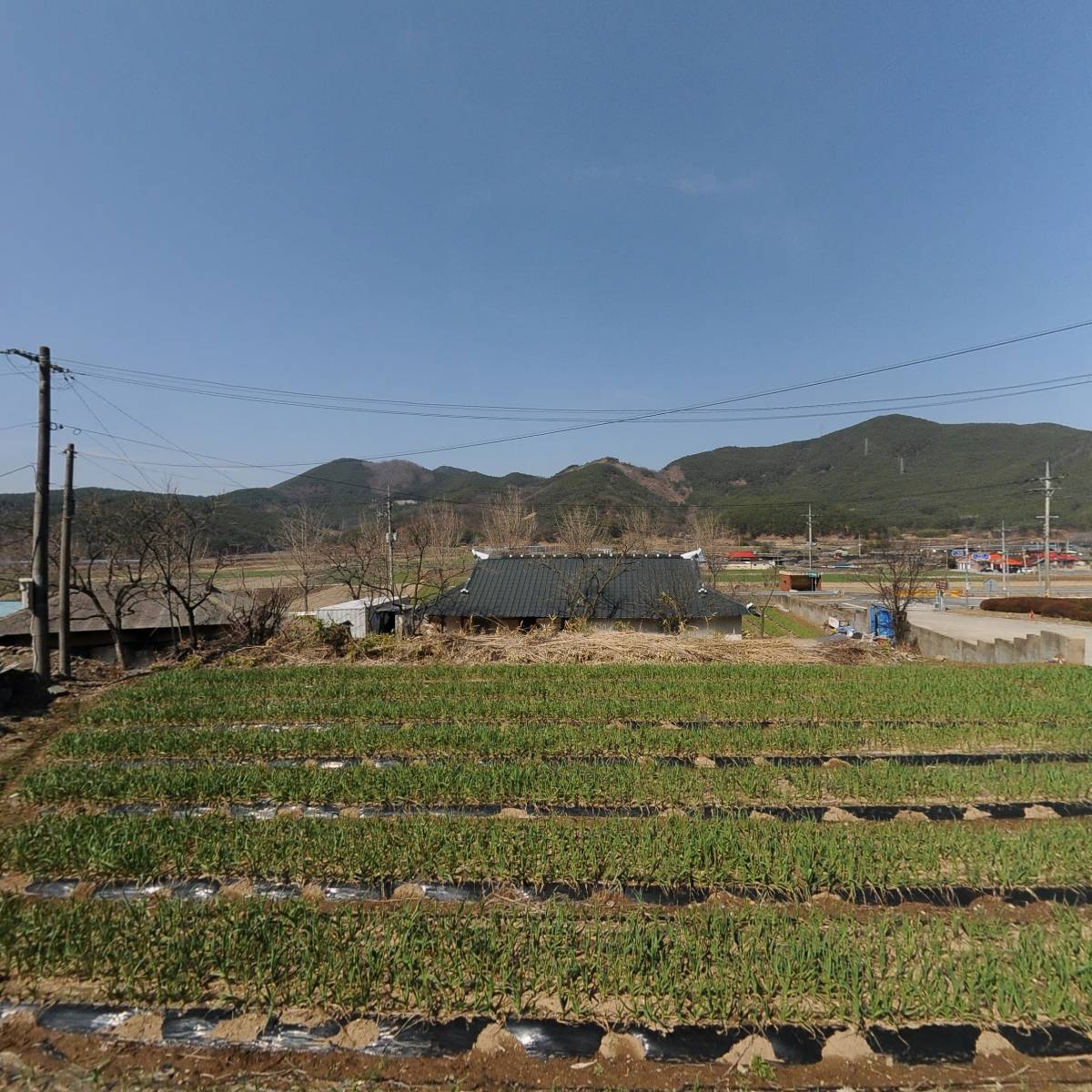 서흥김씨소종(김규이)종중