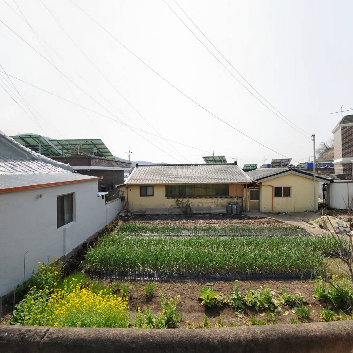 주식회사 디딤돌수산