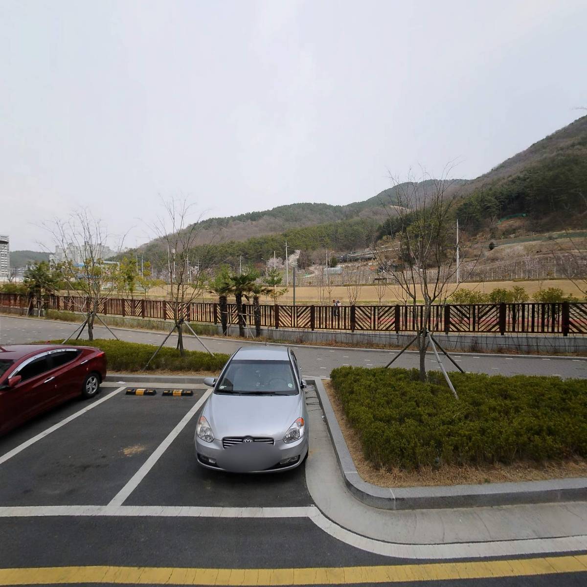 나도산다