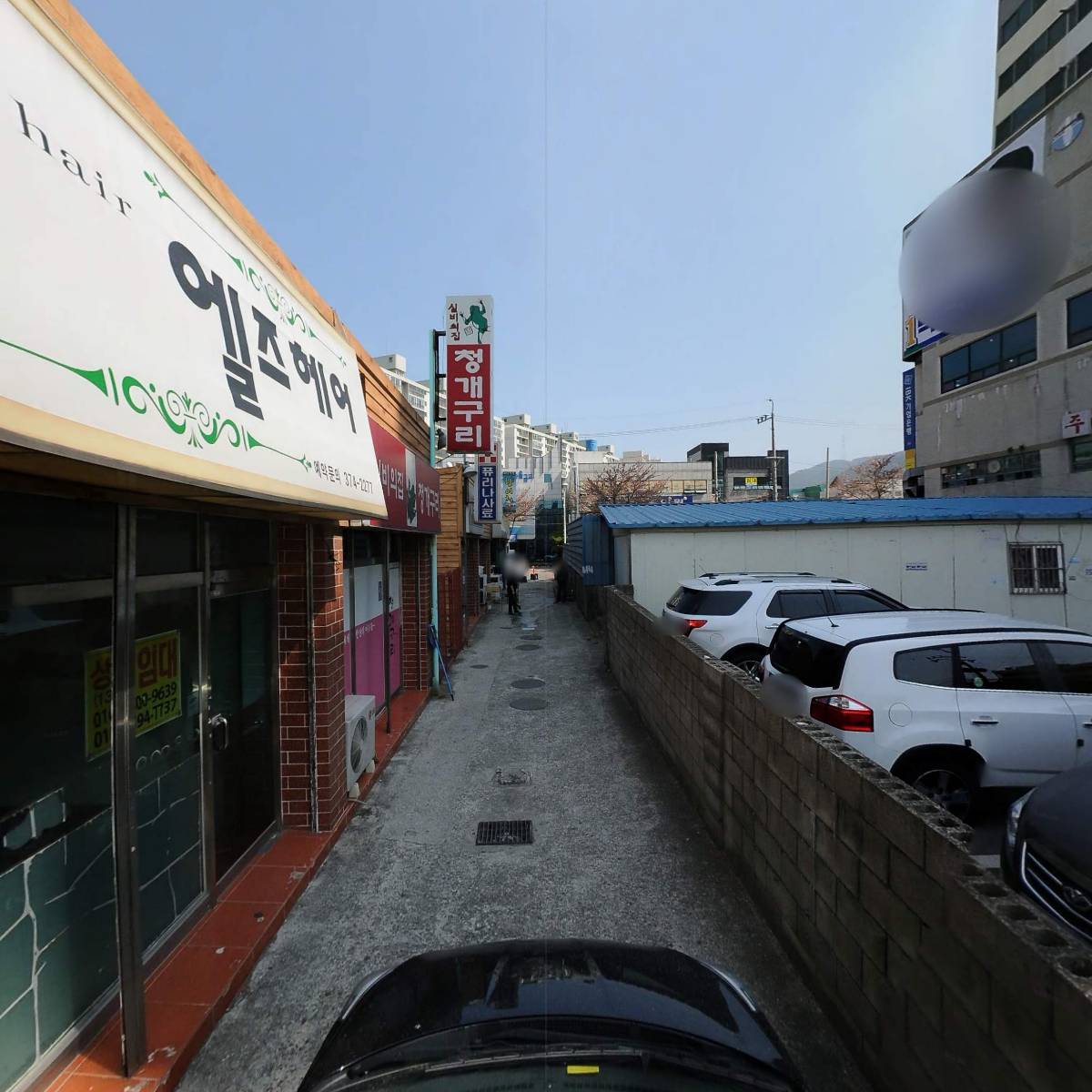 참진_4