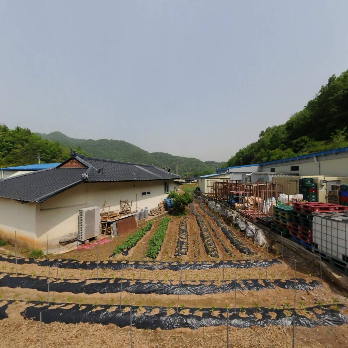 농업회사법인주식회사 마늘농가_3
