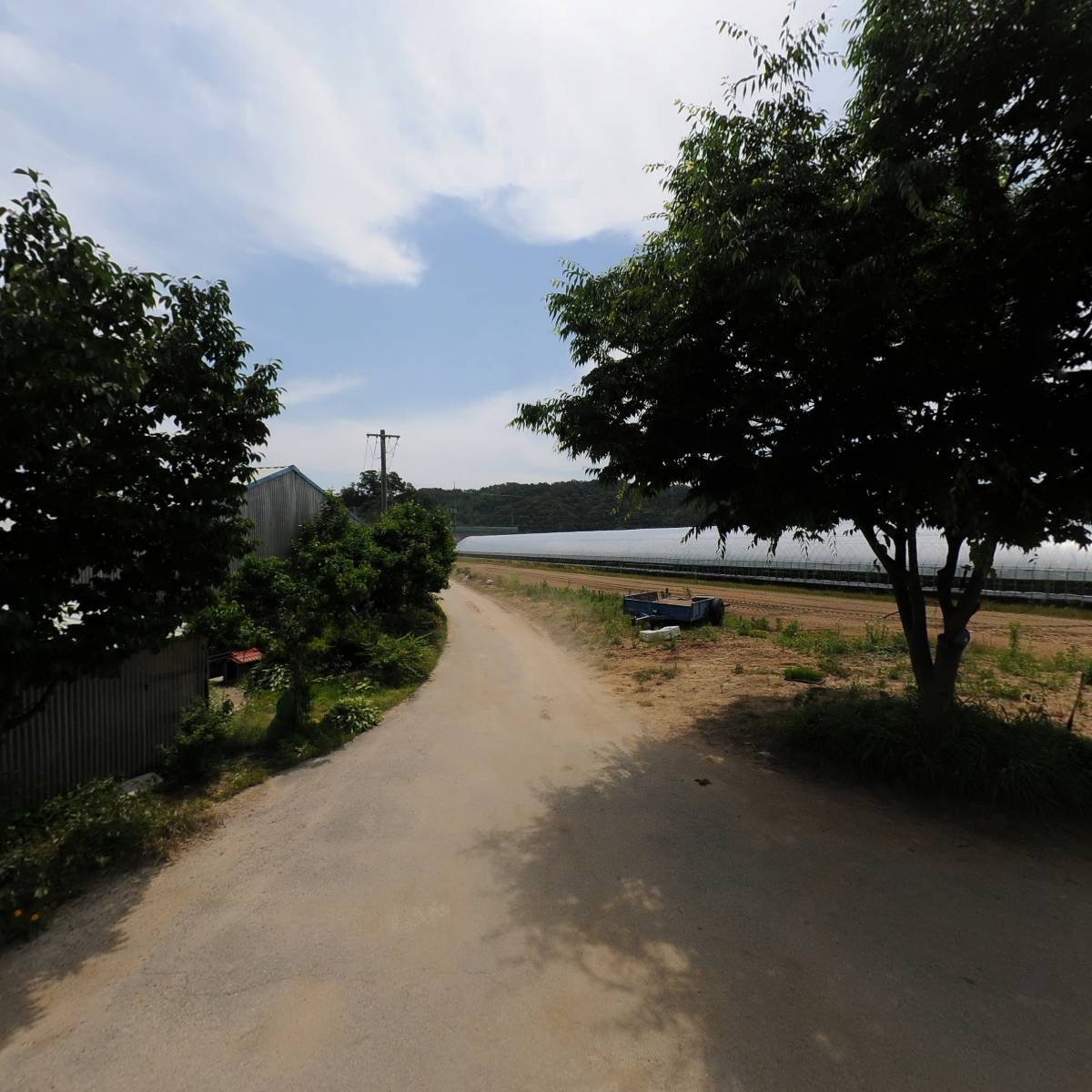 달고나딸기_2