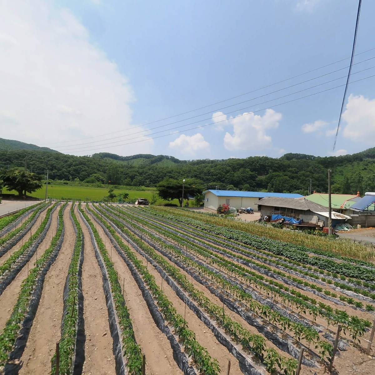 삼용1리（수안）경로당_3