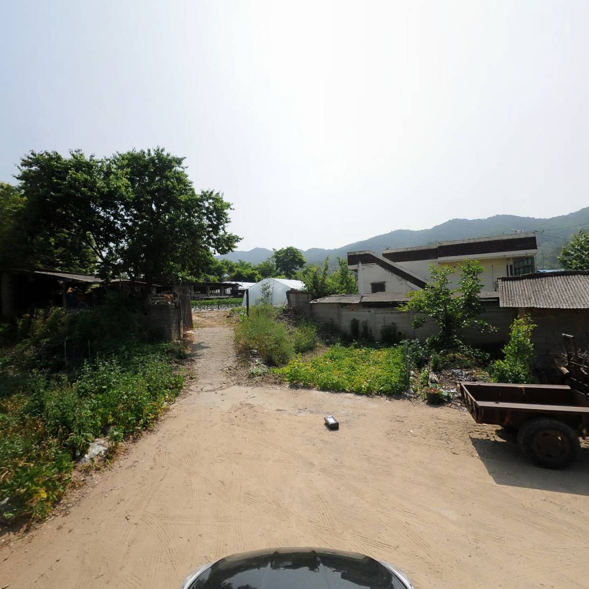 리나투라_4
