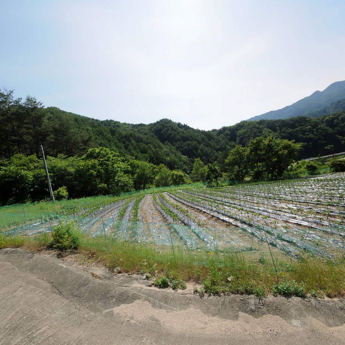 인제용화선원