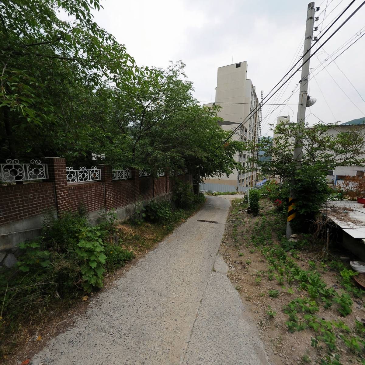하늘바라기집_2
