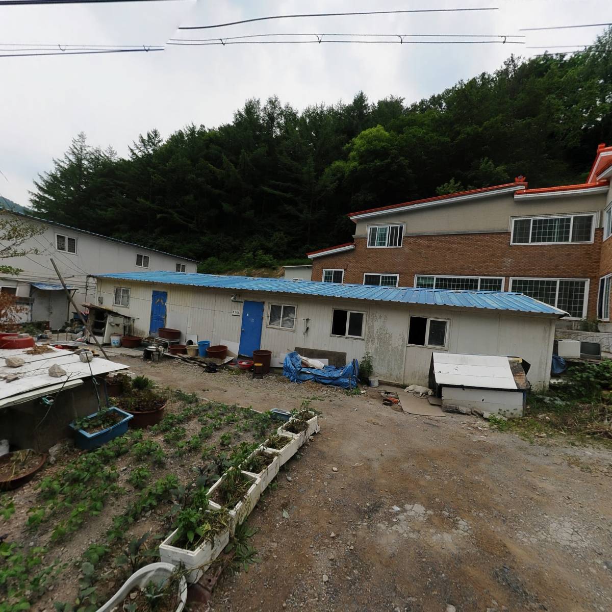 하늘바라기집_3