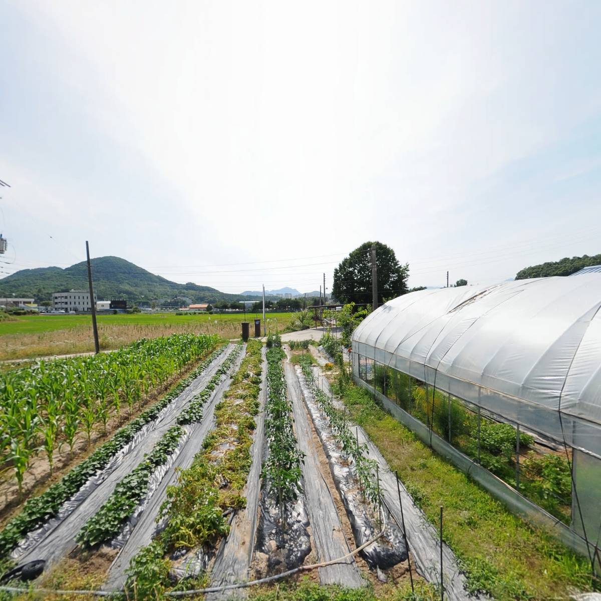 주식회사 오투 놀이학교_3