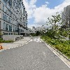 루시즘_2
