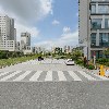 루시즘