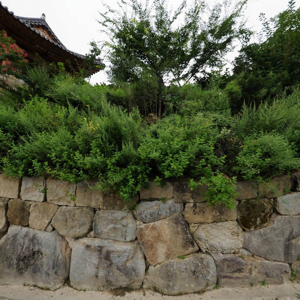 대한불교조계종 용연사_3