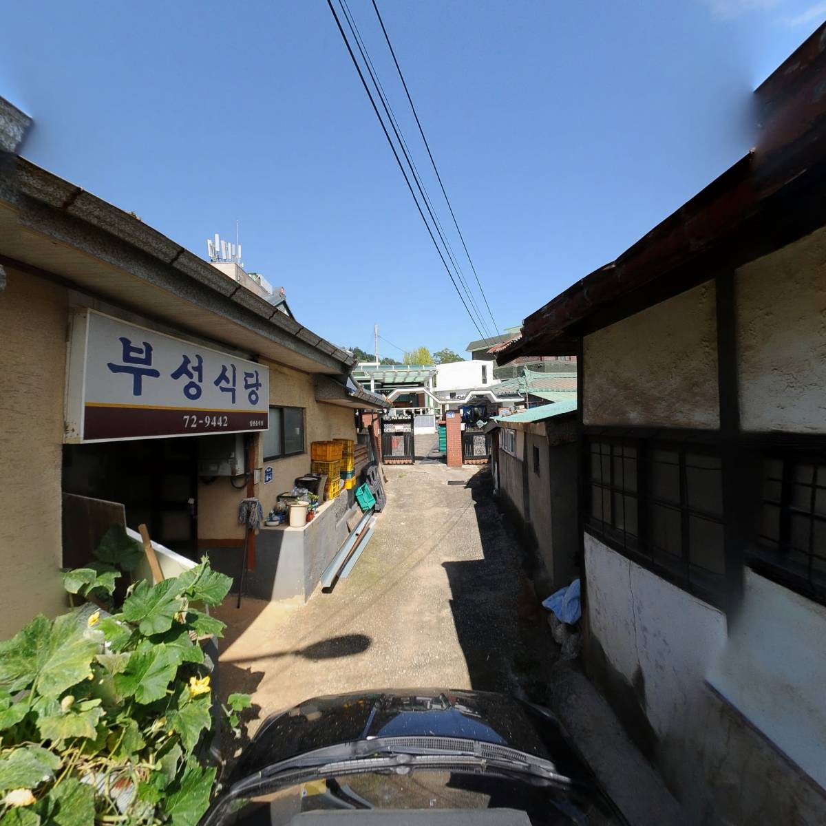 삼척초코당_4