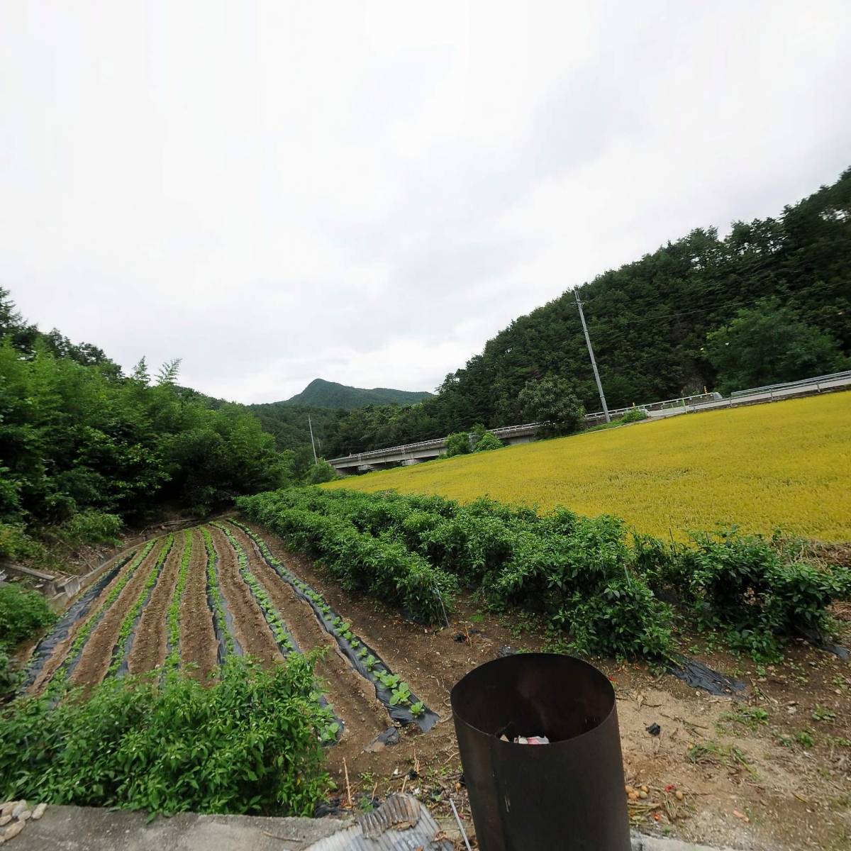 삼척신선권역한우영농조합법인