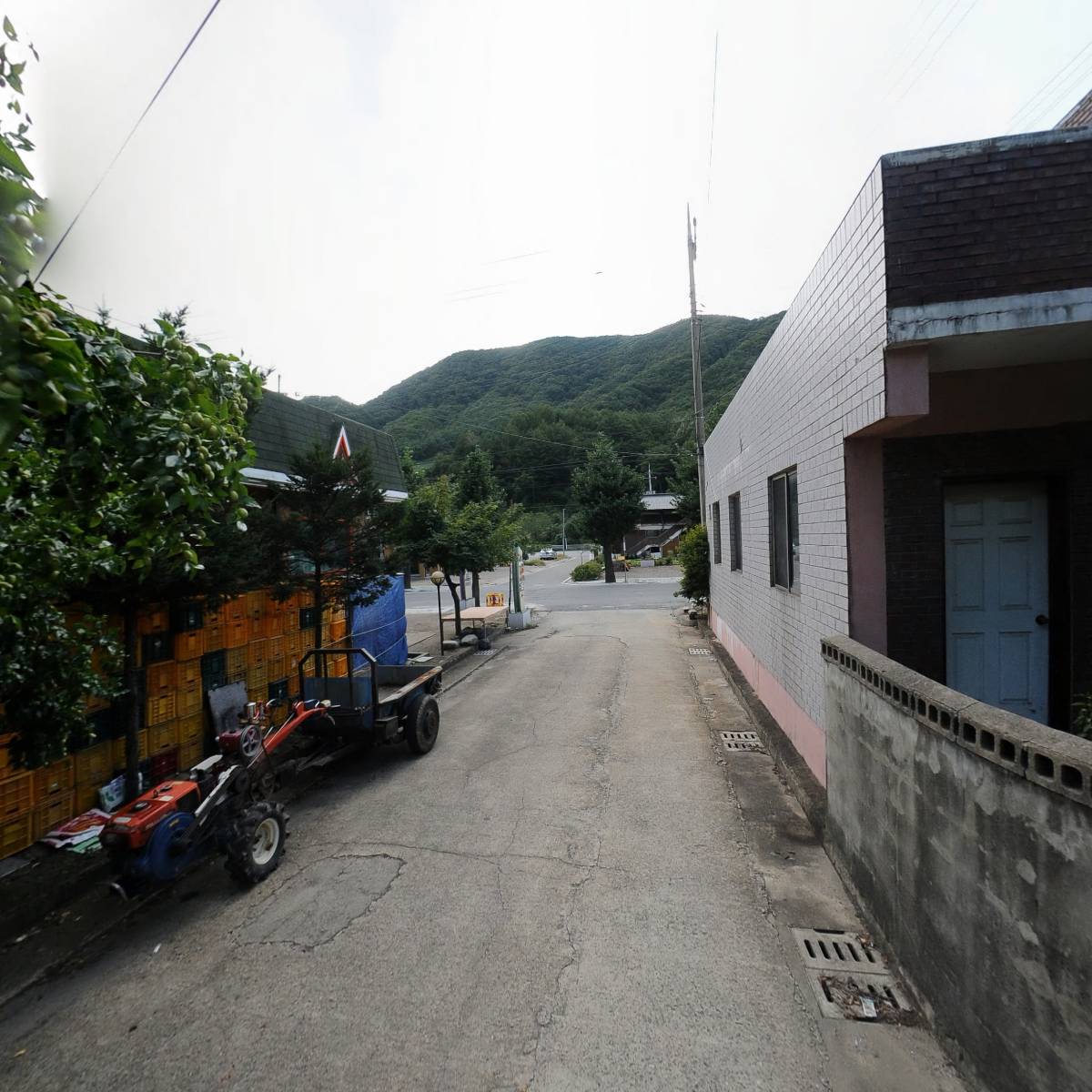 온리원콜라겐_2