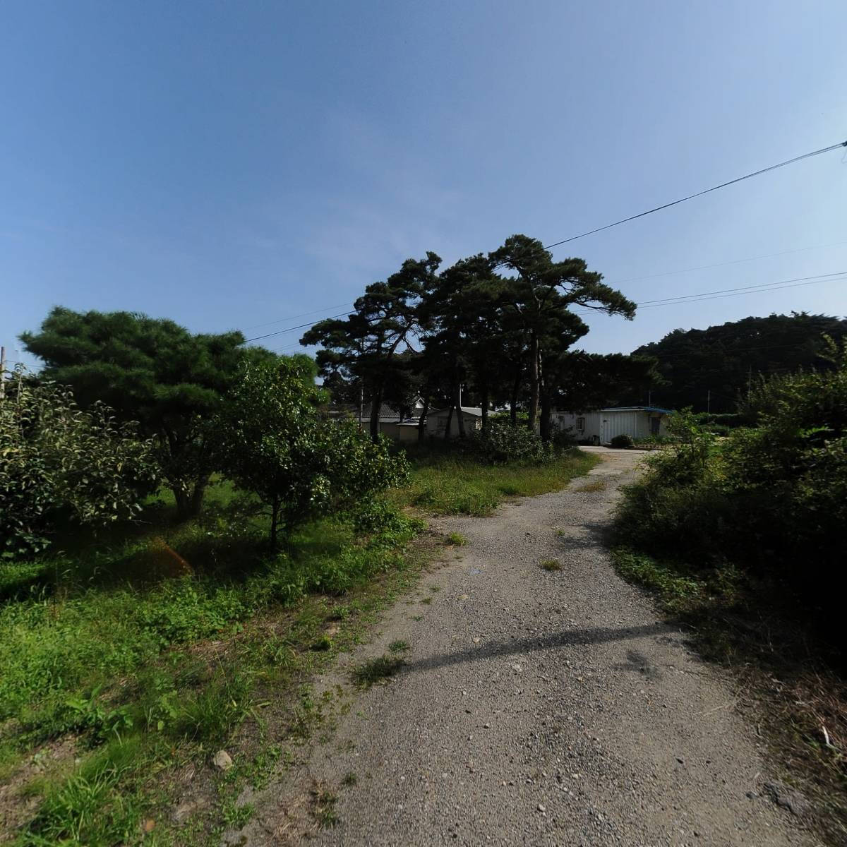 삼교리동치미막국수본점_2