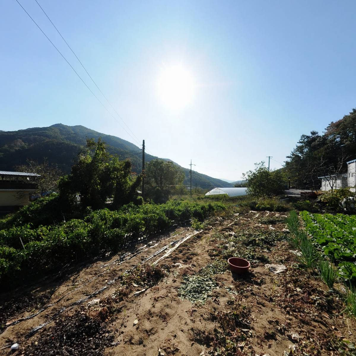 김천황악산호두영농조합법인_3