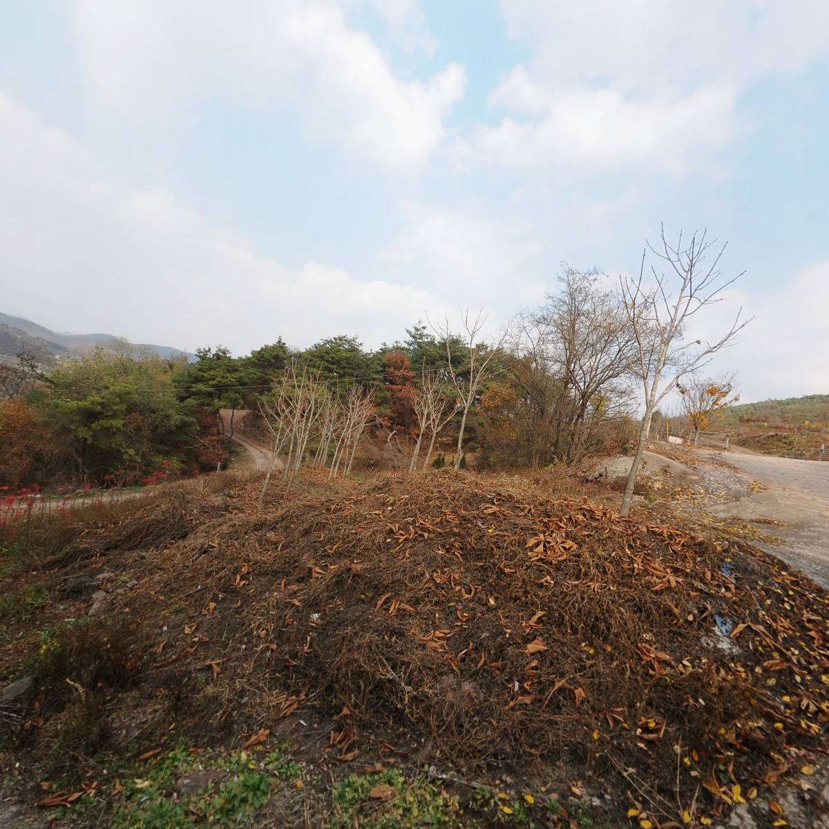(주)한국섹싱바이오텍_3