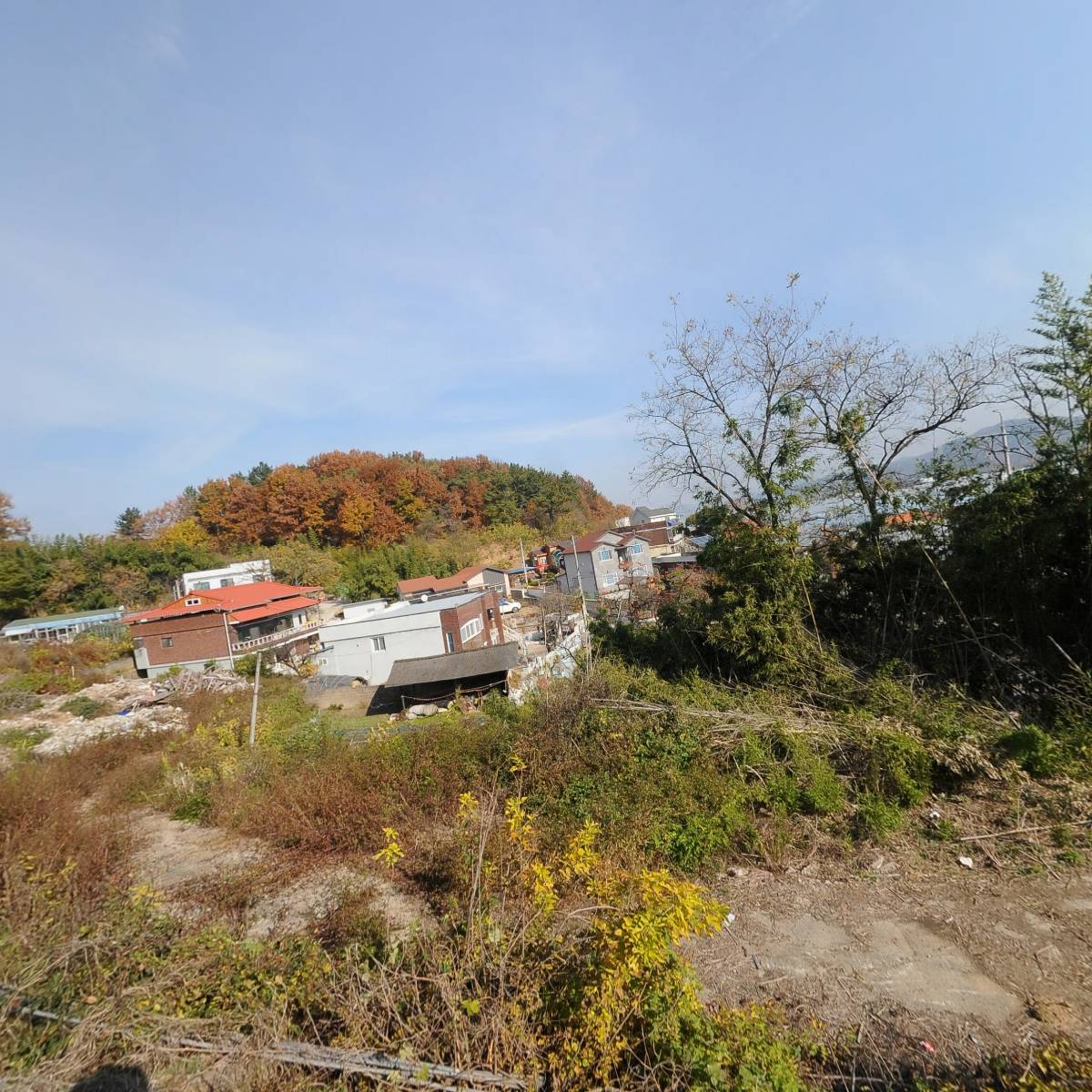 대교쑥찜질방
