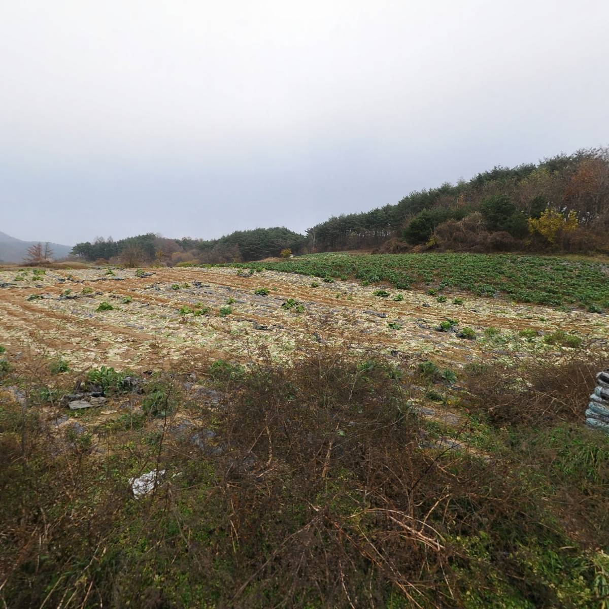 석보 발전소_3