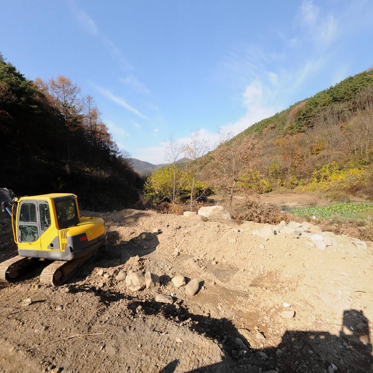 대한불교 용산조계종 금화사