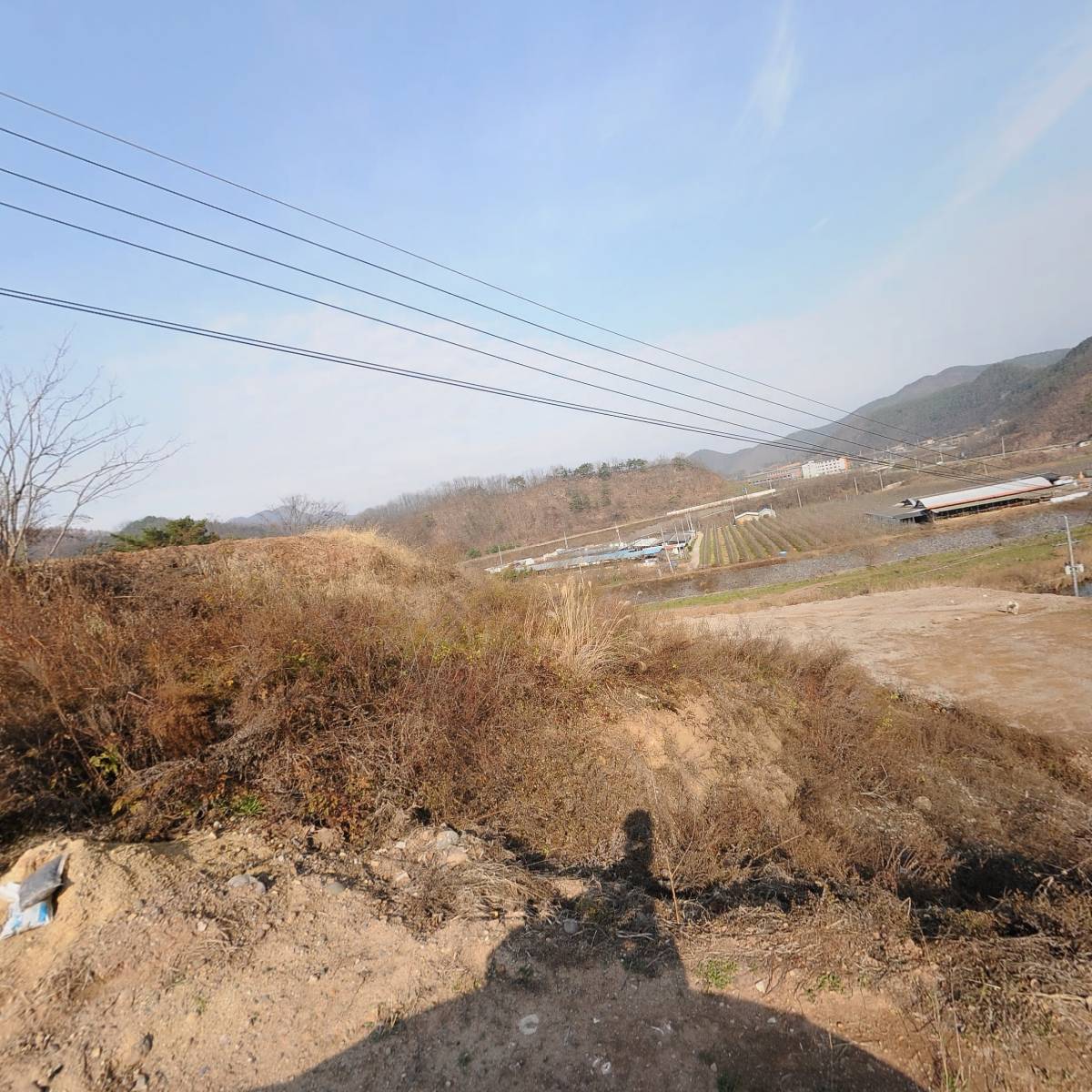 영양산약초생산농업협동조합