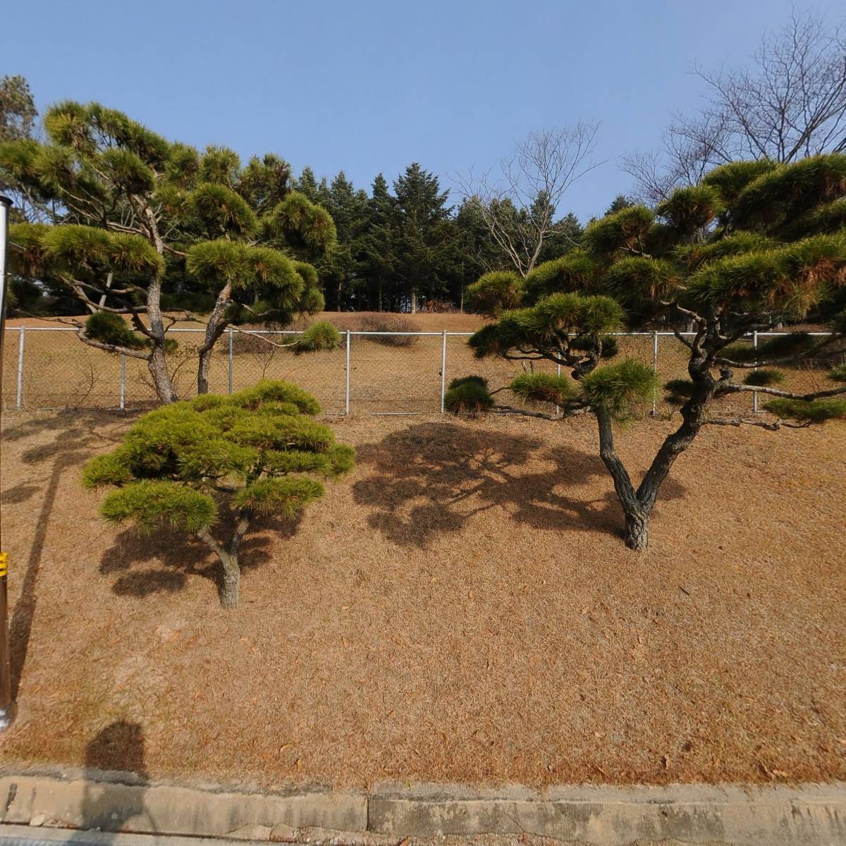 한국교원대학교 일반사회교육과 학생회