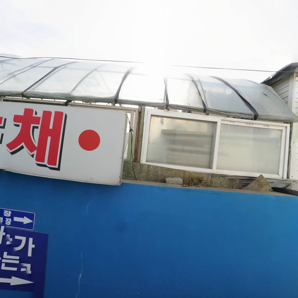 일마레_3
